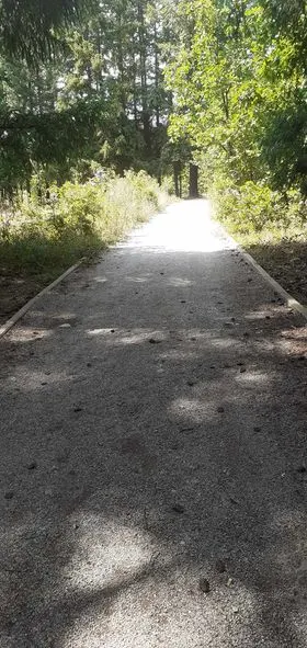 Mirëmbajtja e hapësirës së gjelbërt, mbledhja dhe largimi i mbeturinave në parkun "Te Pishat" në fshatin Rahovicë. E Diele  13/Gusht