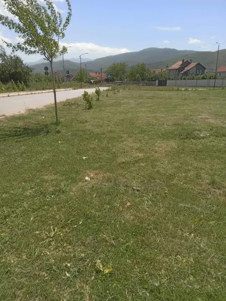 🌲🌲Parku në Balaj dhe Tërrn🌲🌲