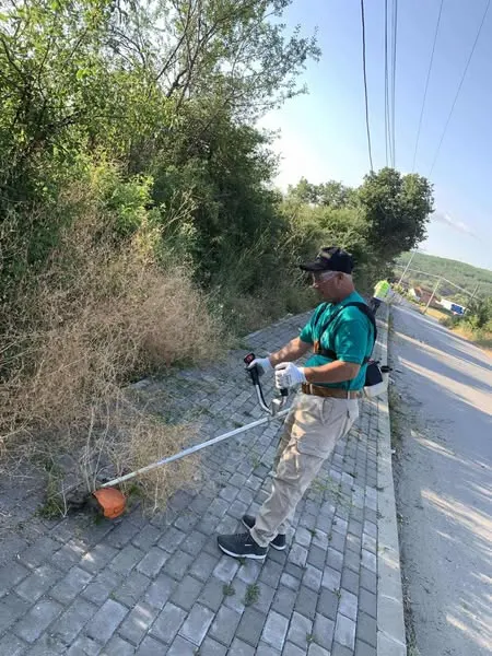 Skedari shtesë
