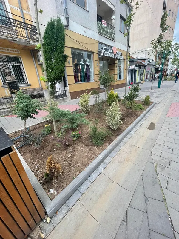 Mihja e tokës dhe mirëmbajtja e drunjëve dekorativ në sheshin "Adem Jashari".