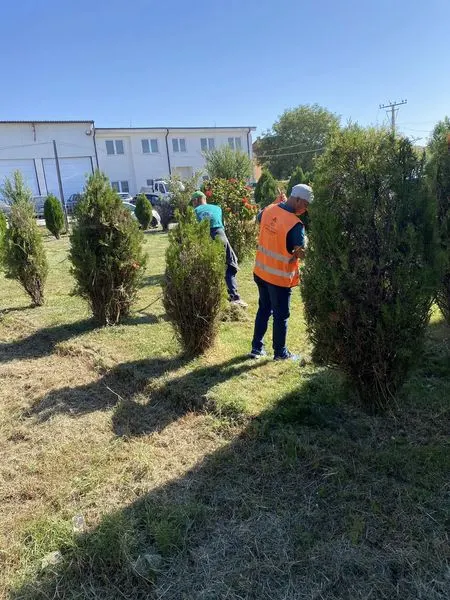 Ekipet e NPL "Ambienti", 👷🏻‍♂️🦺kanë bërë mirëmbajtjen e hapësirave gjelbruese♻️, kositjen e barit, 🍀rregullimin e drunjëve dekorativ 🌳 të Qendrës numër 4 të Mjekësisë Familjare në Ferizaj, oborri i së cilës tani ka një pamje mahnitëse.