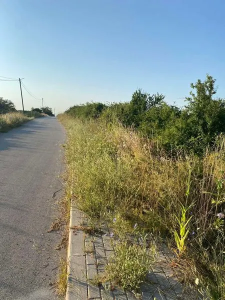 🛤️ Lirimi i trotuareve nga ferrat dhe barishtet në rrugën Pleshinë -Manastirc!