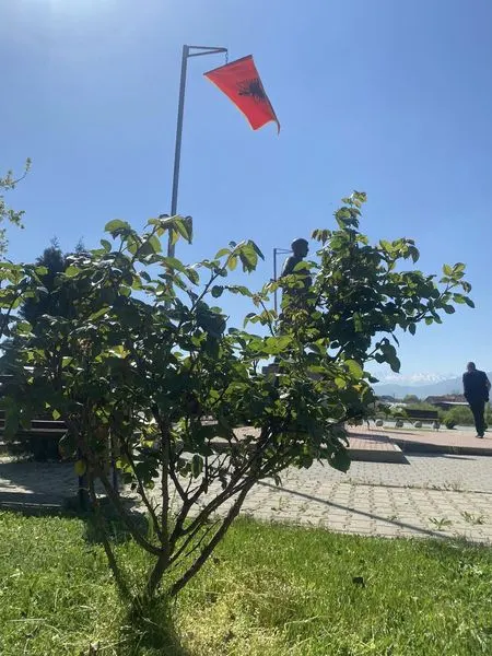 Mirëmbajtja e Lapidarëve në fshatin Koshare dhe Slivovë.