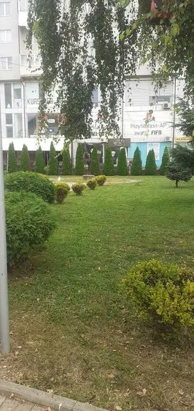 Pastrimi i barit,mirëmbajtja e hapësirës së gjelbërt te teatri "Adriana Abdullahu",mbledhja e mbeturinave dhe mirëmbajtja e sheshit "Ismajl Kadare".