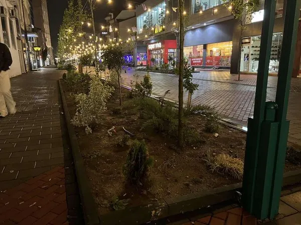Freski në Ferizaj, pas të reshurave të shiut.🍀🌧🌴