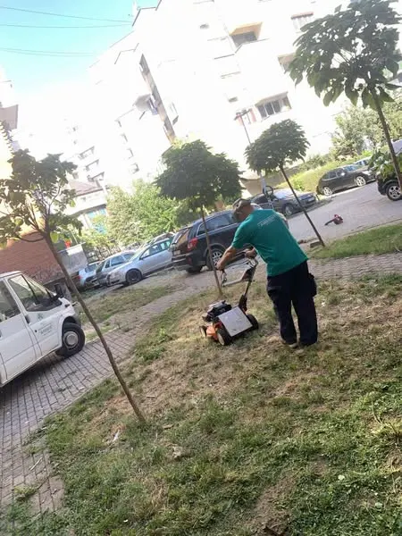 Skedari shtesë
