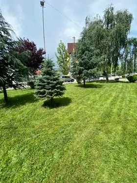 Kositja e barit ,pastrimi i hapësirës së gjelbërt tek Teatri "Adriana". 🍀