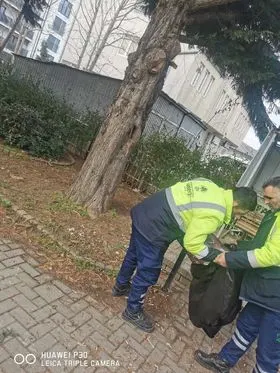 Qendra Kryesore e Mjekësisë Familjare.