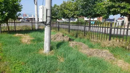 Kositja dhe pastrimi i barit,mirëmbajtja e hapësirës së gjelbërt, tek "Zyra e Gjendjes Civile " në fshatin Talinoc. 🍀