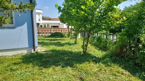 Kositja e barit dhe pastrimi në oborrin tek "Zyra e Gjendjes Civile" në fsh. Gaqkë.