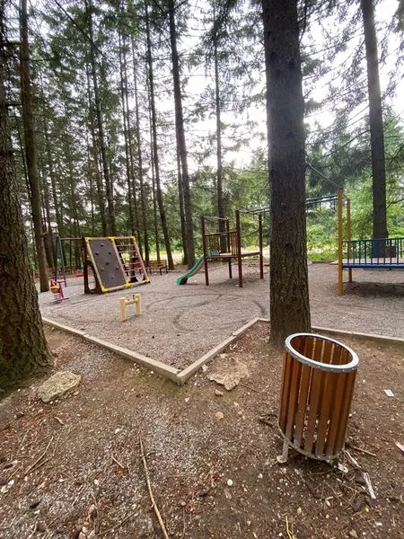 Pastrimi i mbeturinave në parkun e pishave në fsh.Rahovic. 🌲 E Diel /🍀
