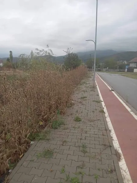 Skedari shtesë