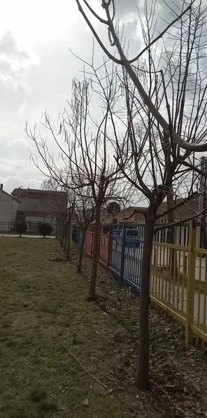 Krastitje dhe mirëmbajtje për një ambient më të bukur!