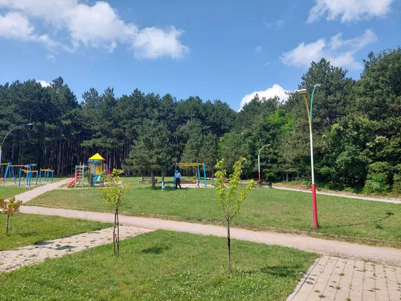 Mirëmbajtja e hapësirës së gjelbërt dhe pastrimi i mbeturinave te parku "Liria". 🌲🍀
