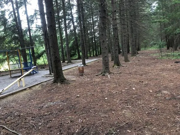 Mirëmbajtja e parkut dhe mbledhja e mbeturinave në parkun "Te Pishat" në fshatin Rahovicë.