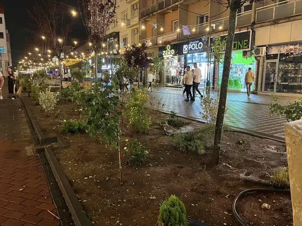 Freski në Ferizaj, pas të reshurave të shiut.🍀🌧🌴