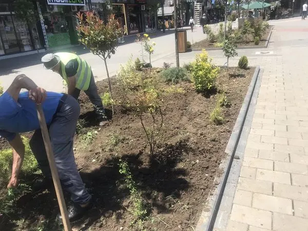 Mihja e drunjëve dekorues në sheshin e qytetit. 🌳