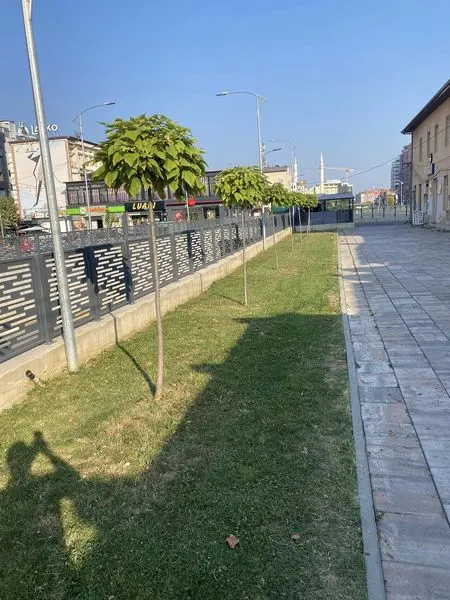 NPL "Ambienti" Ferizaj sot ka bërë mirëmbajtjen nëpër miniparqet në qytet, si në miniparkun përball Komunës së Ferizajt, miniparqet tek nëkalimi kryesor në qytet dhe miniparkut mbrapa Keds në qytet.