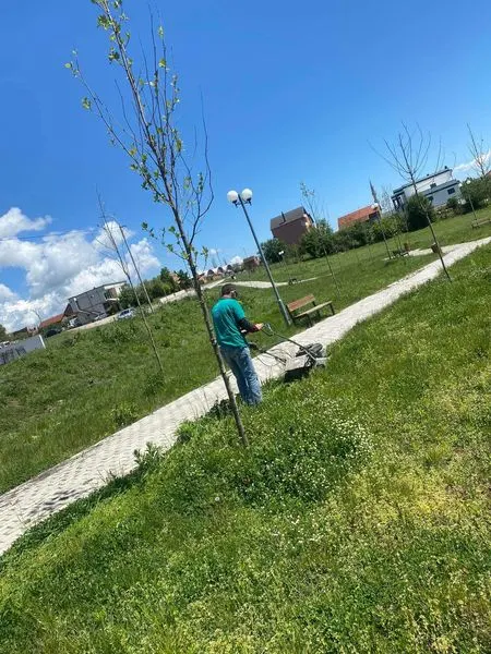 Parkun në fshatin Dardani.