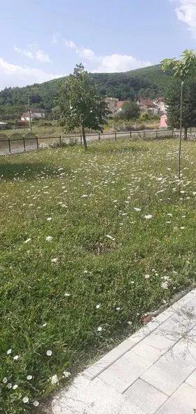 Kositja e barit dhe mirëmbajtja e hapësirës gjelbëruese tek Lapidari "Sejdi Sejdiu" në fshatin Nerodime . 🍀