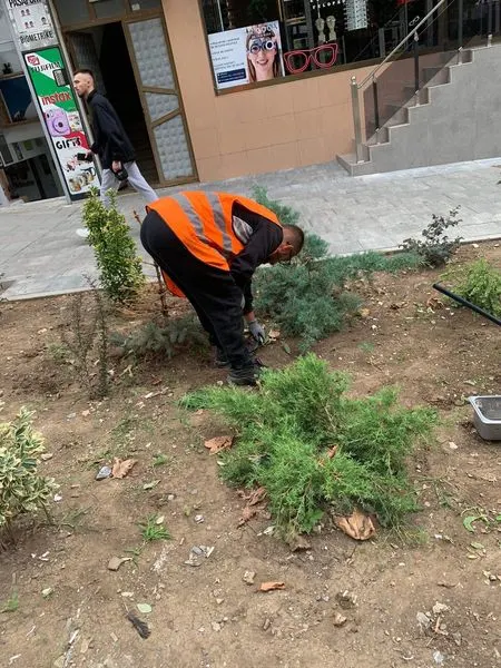 Me këto pamje të mirëmbajtjes të Drunjëve Dekorativ 👷🏻‍♂️🧤🍀🌳 nëpër mini parqet në Sheshin "Tony Blair" ju dëshirojmë një vikend të këndshëm.