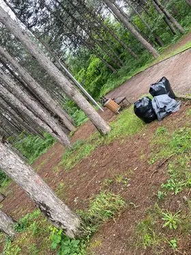 Pastrimi i mbeturinave dhe hapësirës së gjelbërt tek "Parku i Lirisë".  🌲