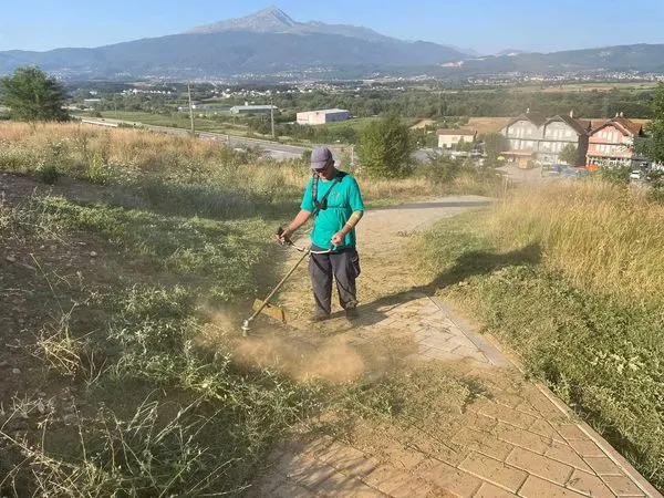 Skedari shtesë