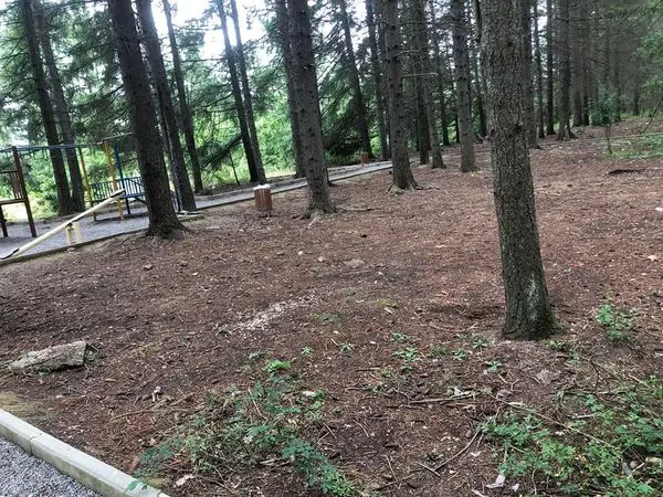 Mirëmbajtja e parkut dhe mbledhja e mbeturinave në parkun "Te Pishat" në fshatin Rahovicë.