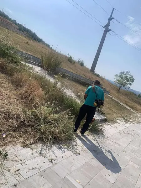 Skedari shtesë