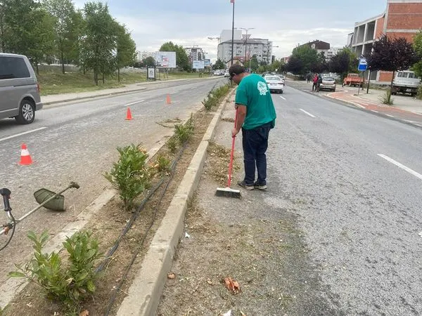 Pastrimi i barit dhe mirëmbajtja e drunjeve dekorativ në vijën ndarëse të rrugës "Brahim Ademi".