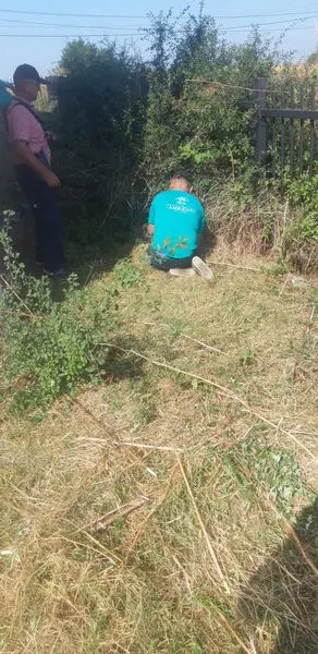 Skedari shtesë