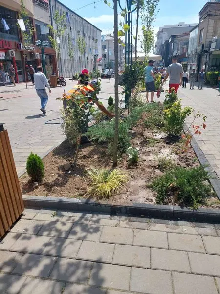 Për mirëmbajtjën dhe ujitjen e drunjëve dekorativë në sheshin "Dëshmorët e Kombit",kujdesën si gjithmonë punëtorët e hapësirave të gjelbërta  të N.P.L "Ambienti"Sh.A. 🍀 🌳 💦