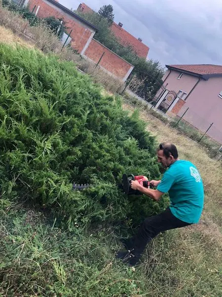 Skedari shtesë