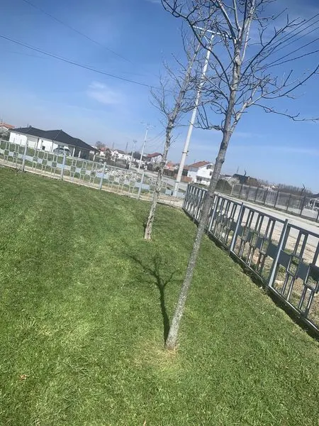 Punët e kryera tek"Zyra e Gjendjes Civile " në Fshatin e Vjetër.