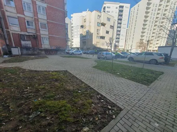 BANESAT KOLEKTIVE