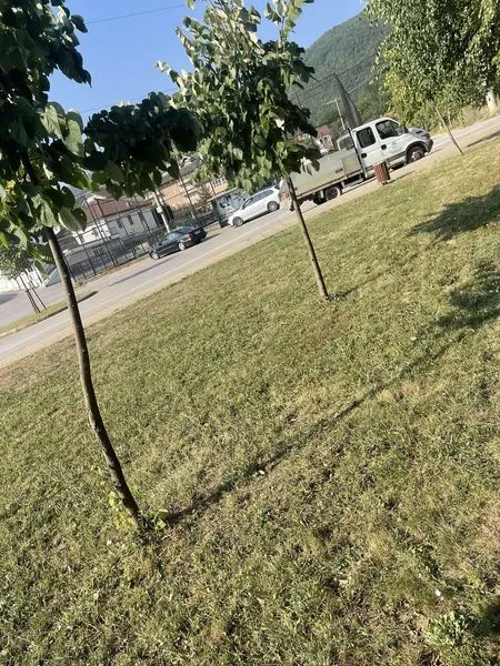 Skedari shtesë