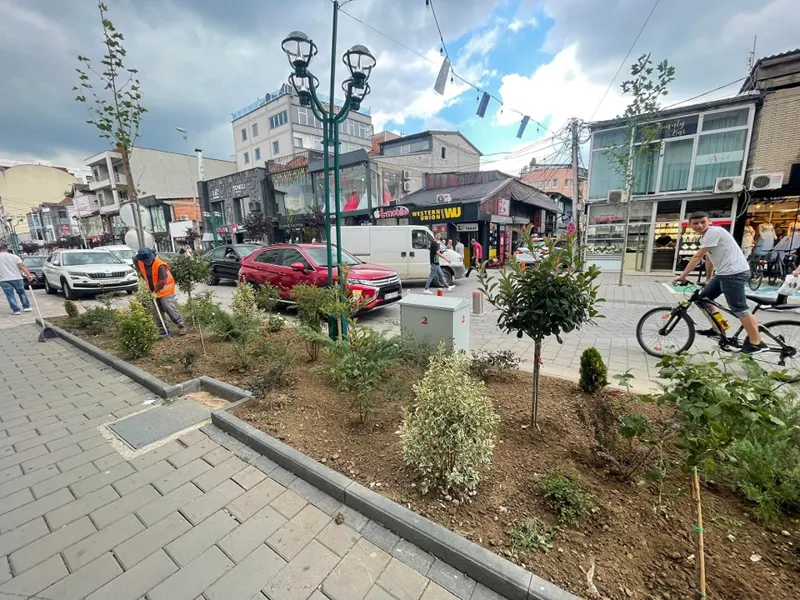 Mihja e tokës dhe mirëmbajtja e drunjëve dekorativ në sheshin "Adem Jashari".