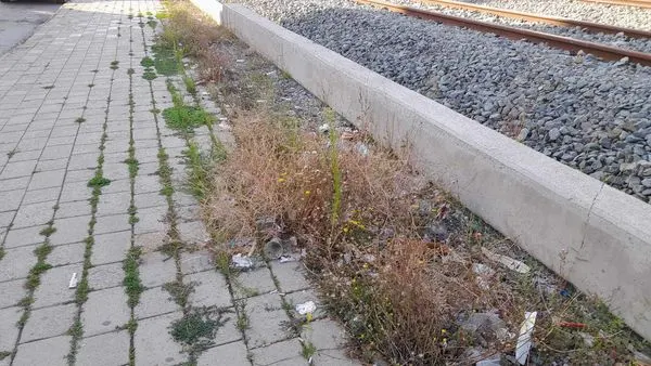 Kositja e barishteve të ndryshme, largimi i mbeturinave dhe pastrimi i trotuarit të ecjes për këmbësor në Rr. "Ahmet Kaçiku", në fillim nga dalja e nënkalimit të veturave deri tek Stacioni i Autobusëve.