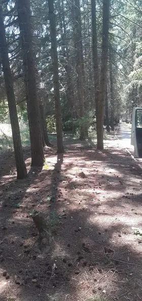 Pastrimi i mbeturinave dhe mirëmbajtja e parkut të pishave në fshatin Rahovic. 🌲🌲 E Diele  30/ Korrik 🍀