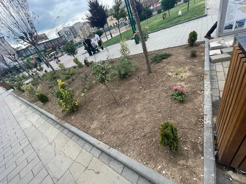 Mihja e tokës dhe mirëmbajtja e drunjëve dekorativ në sheshin "Adem Jashari".