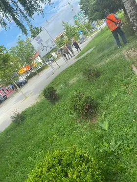 Kositja e barit ,pastrimi i hapësirës së gjelbërt tek Teatri "Adriana". 🍀
