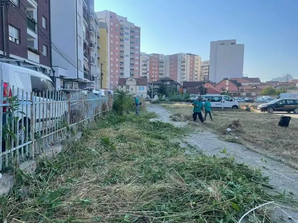 Sot përfunduam kositjen e barit dhe pastrimin e oborrit në shkollën "Gjon Serreçi"