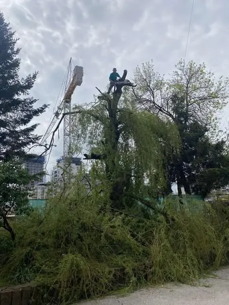 N.P.L "Ambienti" Sh.A vazhdon me përkushtim punën për mirëmbajtjen dhe pastërtinë e qytetit tonë!