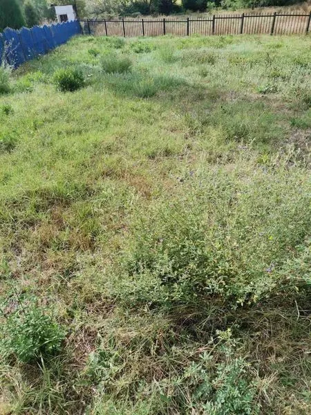 Punonjësit e hapësirave gjelbruese të NPL "Ambienti", sot ishin të angazhuar edhe në mirëmbajtjen e hapësirave gjelbruese, kositjen barit dhe pastrimin e kubëzave tek Qendra e Mjekësisë Familjare dhe Biblioteka "Sadik Tafarshiku", në Dardani.