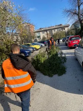 Mirëmbajtja e hapësirës dhe pastrimi i mbeturinave në oborrin tek 🏥 Qendra Kryesore e Mjekësisë Familjare dhe tek Ambulanta Specialistike👩‍⚕️