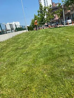 Kositja dhe pastrimi i hapësirës së gjelbërt te parku në rr. " Gursel dhe Bajram Sylejmani".