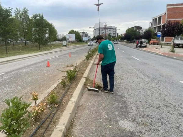 Pastrimi i barit dhe mirëmbajtja e drunjeve dekorativ në vijën ndarëse të rrugës "Brahim Ademi".