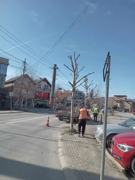 Punë të Kryera nga Ekipi i N.P.L "Ambienti" Sh.A