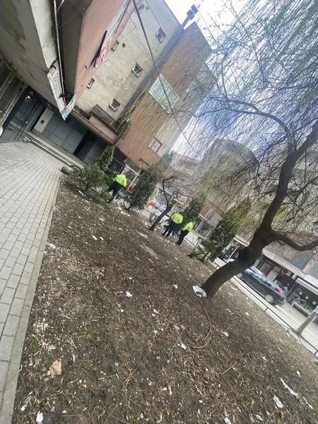 Banesat Kolektive në rr.Vëllezërit Gërvalla.