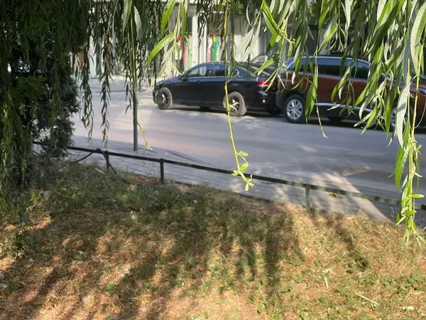 Dje kemi pastruar hapësirën e gjelbër në rrugën Vëllezërit Gërvalla dhe kemi kositur barin dhe pastruar hapësirën e banesës kolektive në rrugën Hysen Terpeza!